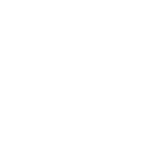 Wordpress Whispers